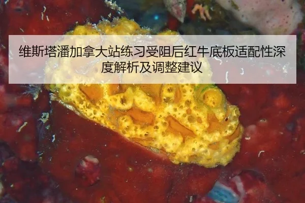 维斯塔潘加拿大站练习受阻后红牛底板适配性深度解析及调整建议