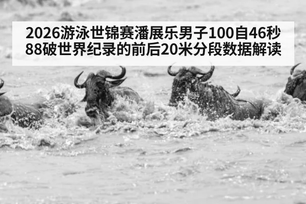 2026游泳世锦赛潘展乐男子100自46秒88破世界纪录的前后20米分段数据解读