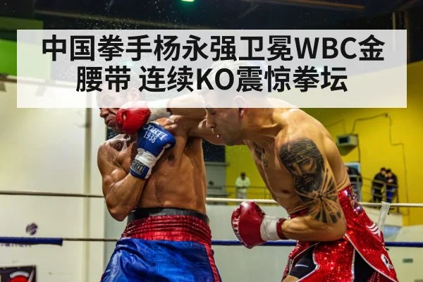 中国拳手杨永强卫冕WBC金腰带 连续KO震惊拳坛